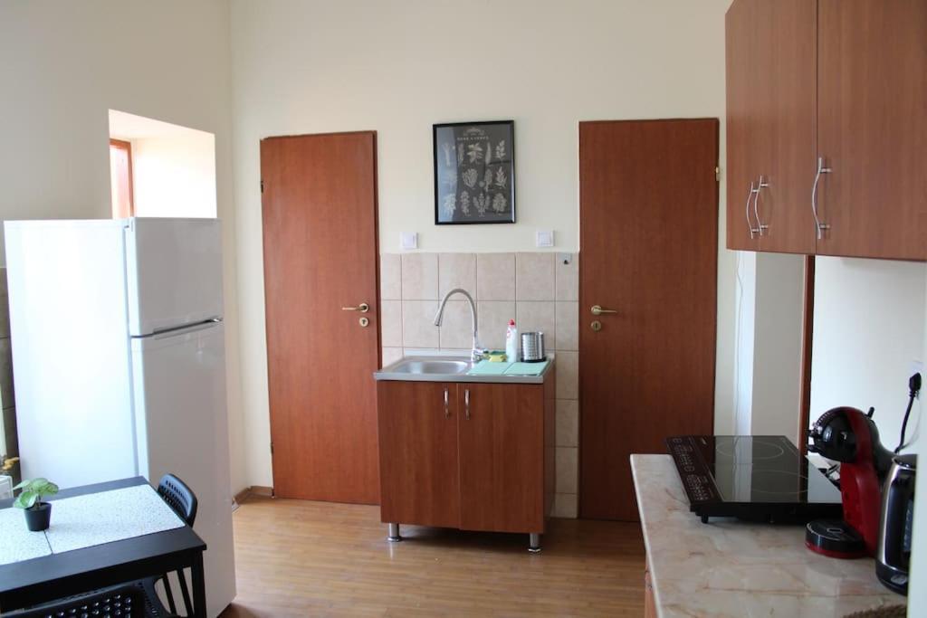 The Oasis By Downtown Apartments Marosvásárhely Kültér fotó